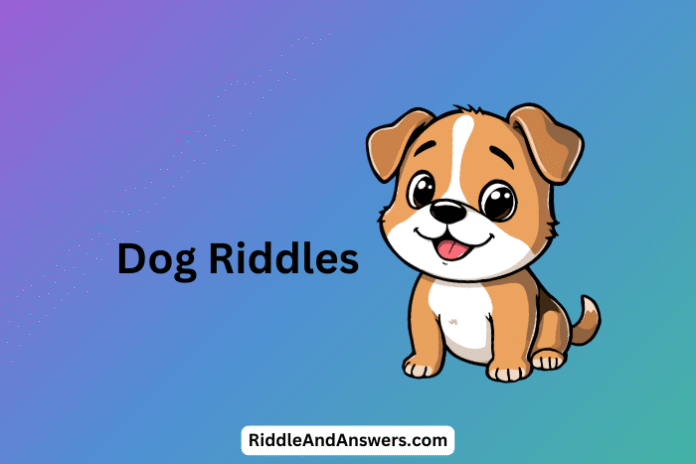 Dog-Riddles Dog Riddles: What Can Be Big or Small but Always Loyal?