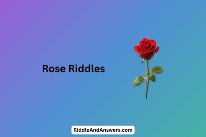 Rose-Riddles Rose Riddles: What Blooms Beautifully but Cannot Speak?