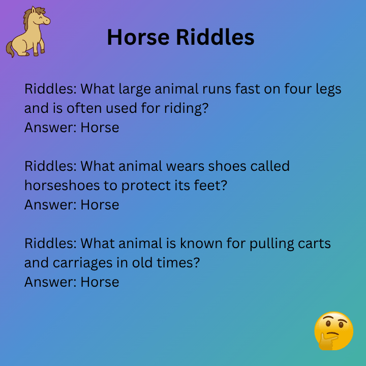 Horse Riddles