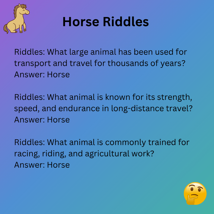 Horse Riddles For Adults