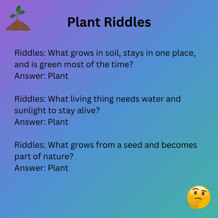 Easy Plant Riddles With Answers