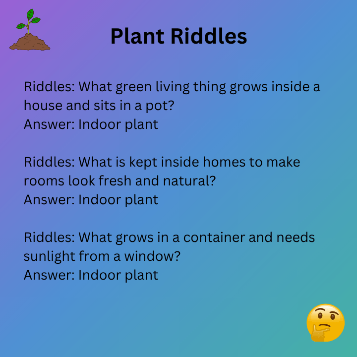 Indoor Plant Riddles