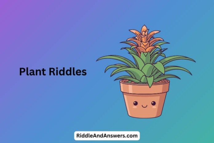 Plant Riddles