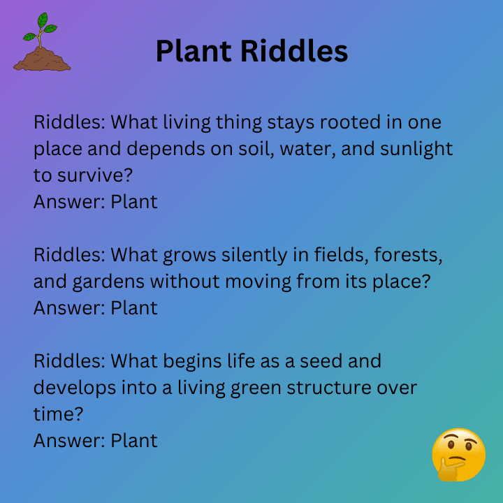 Plant Riddles For Adults