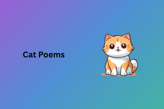 Cat Poems