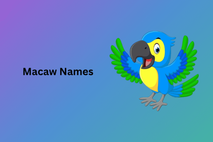 Macaw Names